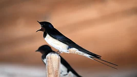 Оффер, бюджет, споры о продуктовых решениях: подборка курсов и местерклассов, где учат вести сложные переговоры