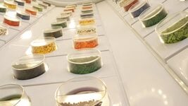 Топ-3 курса, где можно прокачать память и концентрацию — чтобы быстрее учиться и меньше уставать  Топ-3 курса, где можно прокачать память и концентрацию — чтобы быстрее учиться и меньше уставать