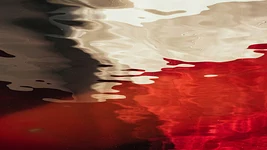 Польша начала отказывать в гражданстве, если заявителя содержит супруг