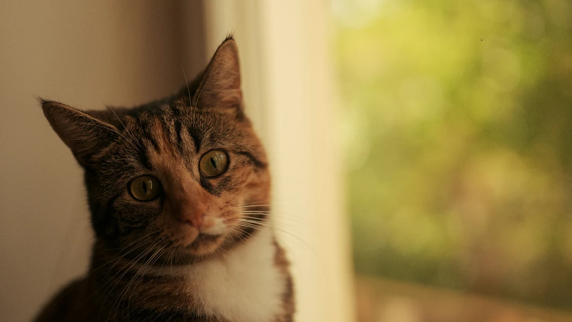 «Самое ужасное интервью за мою карьеру». Как имидж крутой компании развалился за час — история