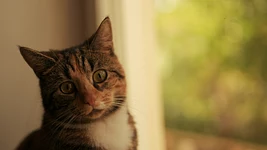 «Самае жахлівае інтэрв'ю за маю кар'еру». Як імідж крутой кампаніі разваліўся за гадзіну — гісторыя