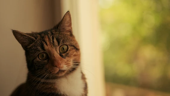 «Самое ужасное интервью за мою карьеру». Как имидж крутой компании развалился за час — история