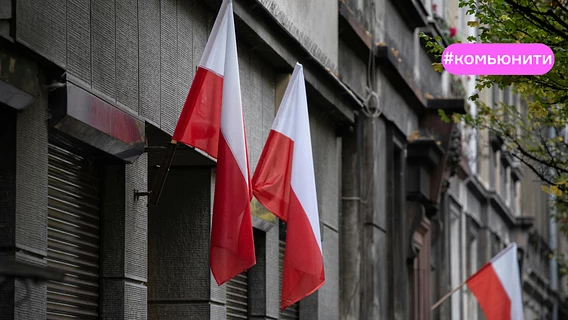 «Сдал на 80%+». Как беларусы создали платформу для подготовки к экзамену по польскому 