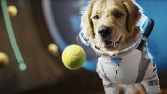 OpenAI запусціла «свой TikTok» з генератарам відэа Sora