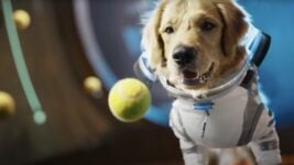 OpenAI запусціла «свой TikTok» з генератарам відэа Sora