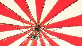 Как айтишникам в Польше платить меньше налогов и не утонуть в бумагах? Поможет Łatwy Start