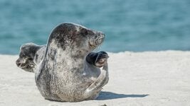 Мы изучили DevOps за вас. Карта по миру Kubernetes и CI/CD для разработчика, которому страшно Мы изучили DevOps за вас. Карта по миру Kubernetes и CI/CD для разработчика, которому страшно