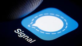 Signal запустил поддержку Stories