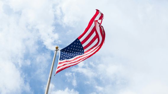 Маск уходит из администрации Трампа