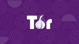 Стало известно о двух уязвимостях нулевого дня в Tor