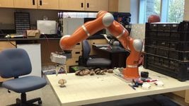 Инженер создал робота, который собирает грибы лучше человека