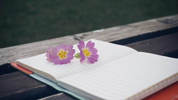 Как аккуратно навести порядок в задачах: январская подборка курсов по эстетичному тайм-менеджменту