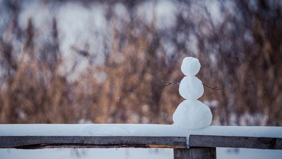 Коммуникативные навыки без давления: 5 курсов для интровертов, чтобы стать увереннее в общении 