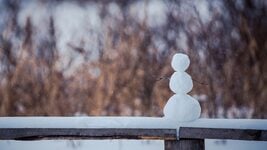 Коммуникативные навыки без давления: 5 курсов для интровертов, чтобы стать увереннее в общении 