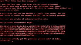 Новый вирус-шифровальщик атакует компьютеры в России и Украине 