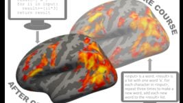 Шуточки про гуманитариев — всё? Учёные говорят, что кодить могут все — к этому предрасположен наш мозг Шуточки про гуманитариев — всё? Учёные говорят, что кодить могут все — к этому предрасположен наш мозг