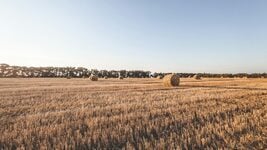 Компании продолжают увольнять с размахом — нанимать, впрочем, тоже