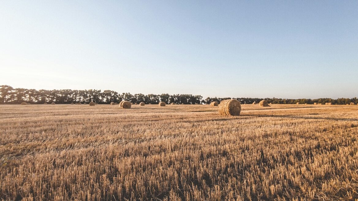 Компании продолжают увольнять с размахом — нанимать, впрочем, тоже