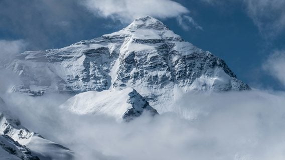 «Учите это!» Что советуют прокачать Маск, Альтман, Гейтс, Джобс и другие знаменитости