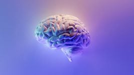 5 прорывов в технологиях: чего добились ученые в 2024 5 прорывов в технологиях: чего добились ученые в 2024