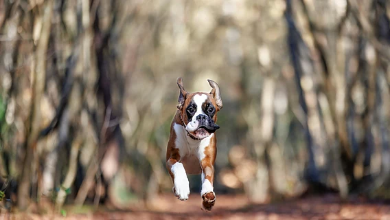 «Индустрия живёт в режиме войны». Как AI меняет работу Flo и весь рынок — рассказывает СТО