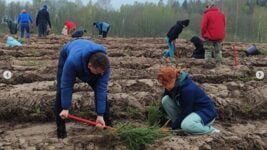 EPAM плаціць усё менш падаткаў, хоць і застаецца №1. Як справы ў нашых у Літве