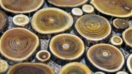 Sweet Home DIY: 13 курсов, которые вдохновят на уют, стиль и новые проекты