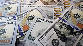 «Есть трудности с доставкой долларов из США». Нацбанк о перебоях с валютой