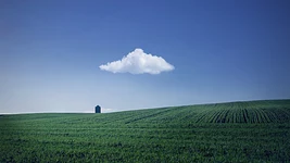 CKA или облачный натив: какой DevOps-сертификат реально работает на карьеру