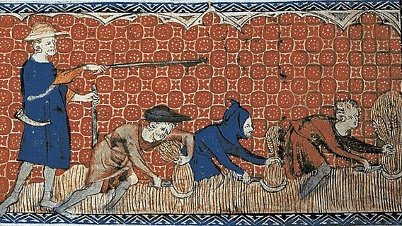 «Цифровые крестьяне»: как интернет вещей возвращает человечество в средневековье 
