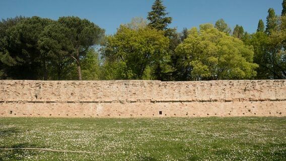 Амерыканскім кампаніям патрэбна ліцэнзія для найму беларусаў. Чаму пры Трампе гэта стала рэальнай праблемай?
