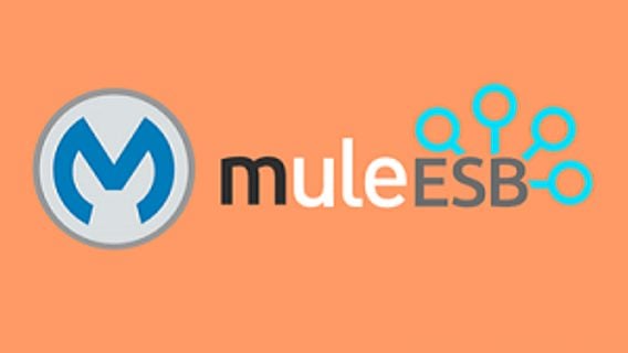 Лучшие практики использования Mule ESB 