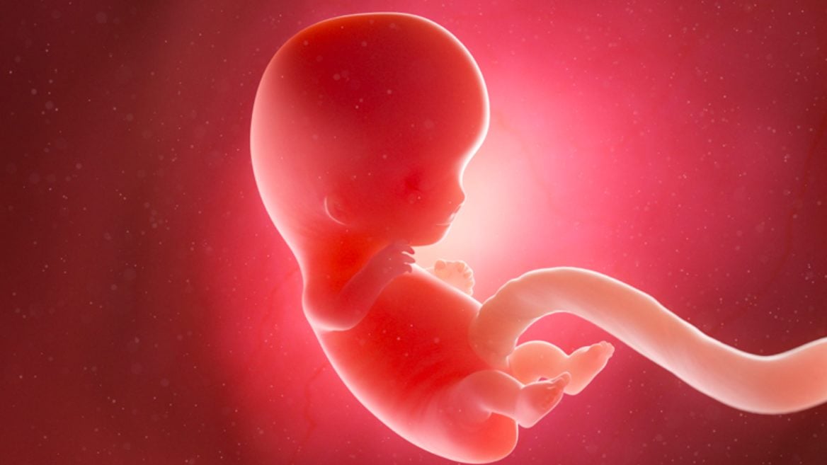 Китайские учёные создали искусственную матку с AI который контролирует в ней эмбрионов