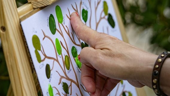 На въезде в Грузию отпечатки снимают не только у беларусов, но и россиян. Вот подробности