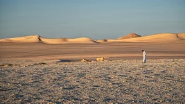 Вакансій для айцішнікаў ужо ў ~10 разоў менш, чым у 2021 годзе, усё падае. Абнавілі графікі апакаліпсісу