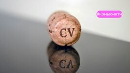 Из мясокомбината в ИТ. Карьерная консультантка разбирает резюме начинающего PM