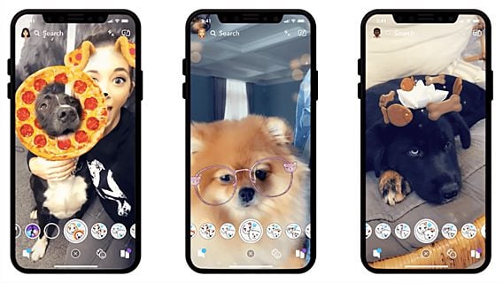Обновление Snapchat позволяет примерять виртуальные маски на собак (видео) 