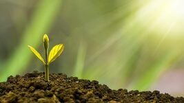 7 курсов, которые прокачают вашу ценность на рынке и откроют путь к высокой зарплате