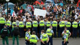 В Новой Зеландии разгоняют протестующих… самой популярной песенкой YouTube