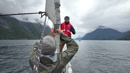 Damora запускает акцию «50% для друга» на парусные походы