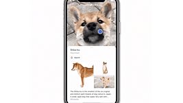 Google добавила функцию визуального поиска Lens в приложение для iOS 