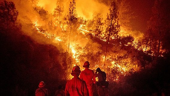 Сетевой оператор парализовал борьбу с лесными пожарами, снизив скорость интернета пожарным 