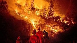 Сетевой оператор парализовал борьбу с лесными пожарами, снизив скорость интернета пожарным 