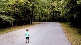 Быстрый старт в кибербезопасности со спецами IBM — месячный курс по основам