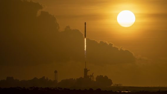 SpaceX построит Пентагону спутники для отслеживания ракет