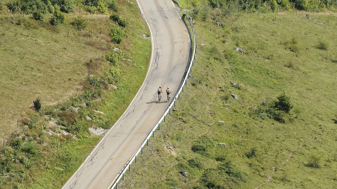 Не только ментор: 5 форматов роста в IT, которые могут работать даже лучше