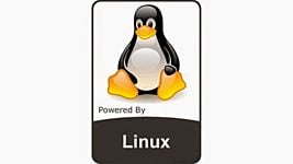 Линус Торвальдс «разрешил» начать разработку Linux 5.0 