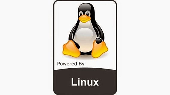 Линус Торвальдс «разрешил» начать разработку Linux 5.0 