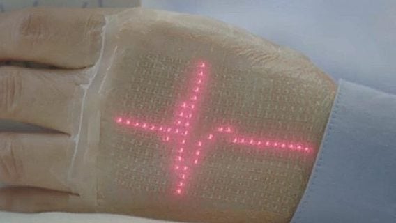Эластичный биодисплей «живёт» на коже до месяца, показывая пульс и давление 