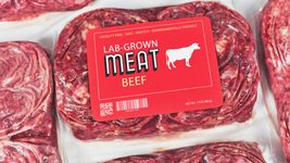 Возрождение OneWeb и «эра мяса из пробирки». Техдайджест